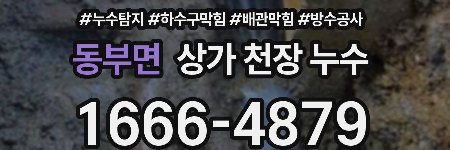 동부면 상가 천장 누수