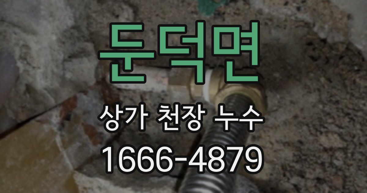 둔덕면 상가 천장 누수