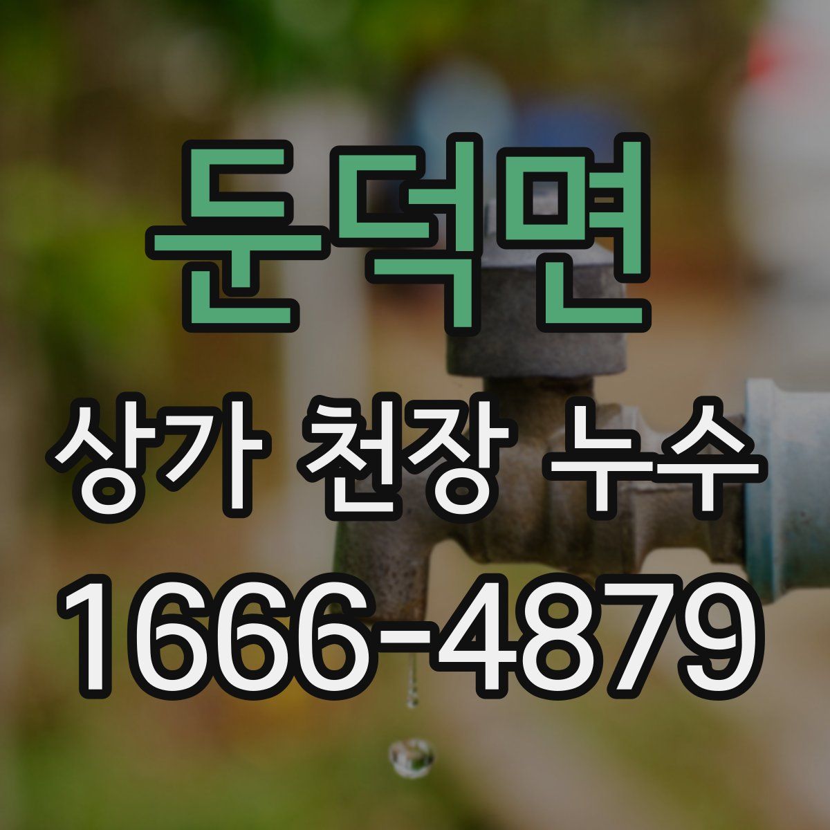 둔덕면 상가 천장 누수