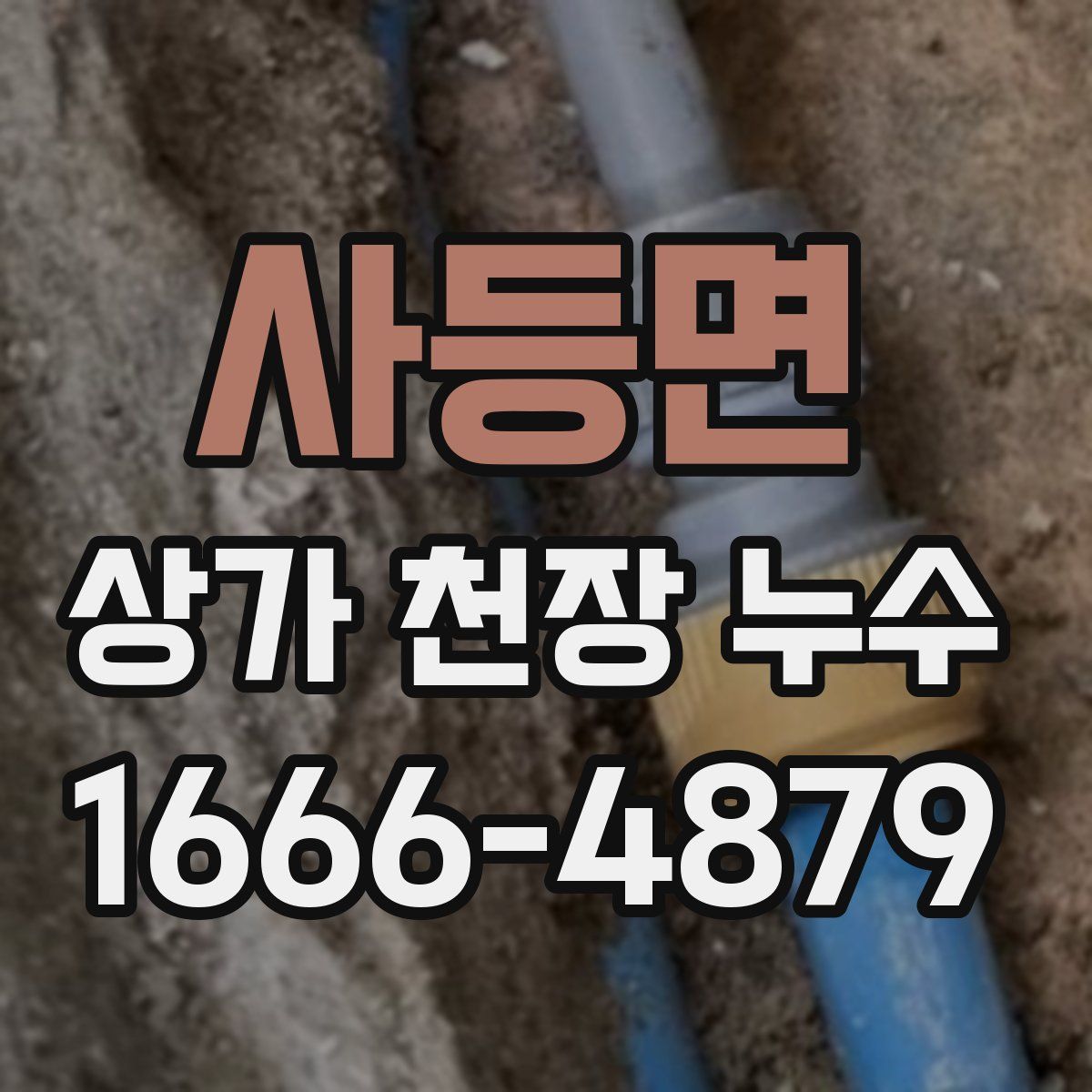 사등면 상가 천장 누수