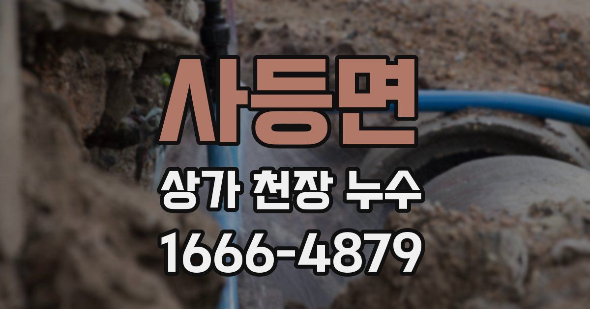 사등면 상가 천장 누수