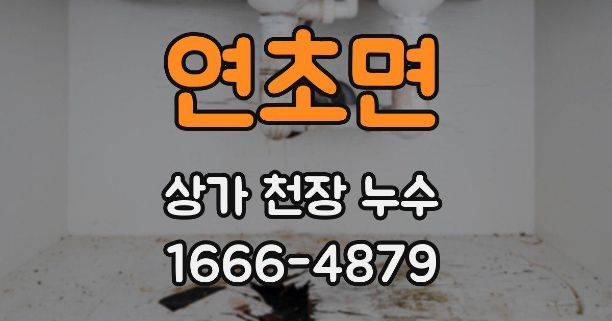 연초면 상가 천장 누수