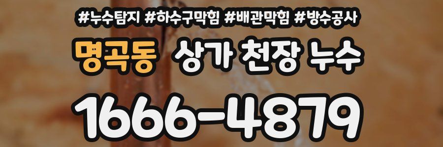 명곡동 상가 천장 누수