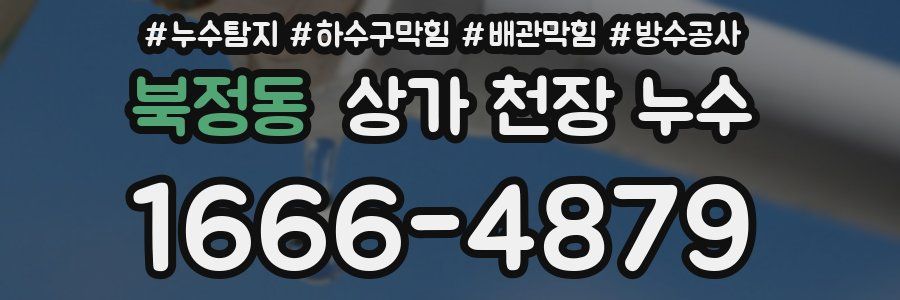 북정동 상가 천장 누수