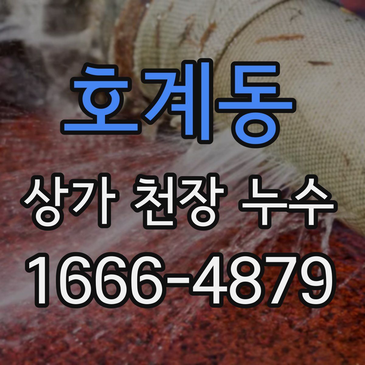 호계동 상가 천장 누수
