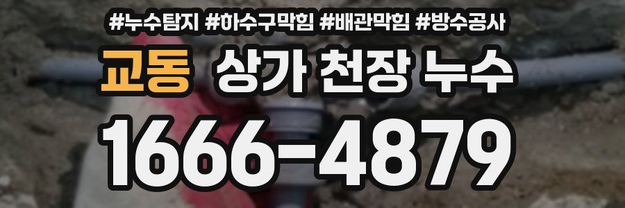 교동 상가 천장 누수
