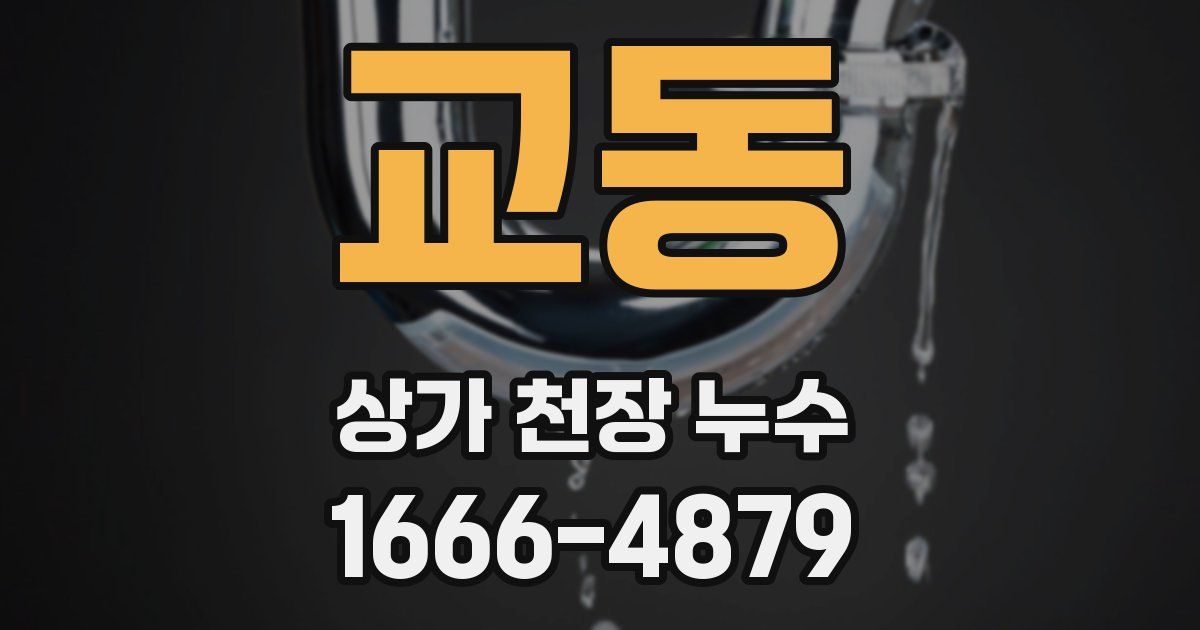 교동 상가 천장 누수