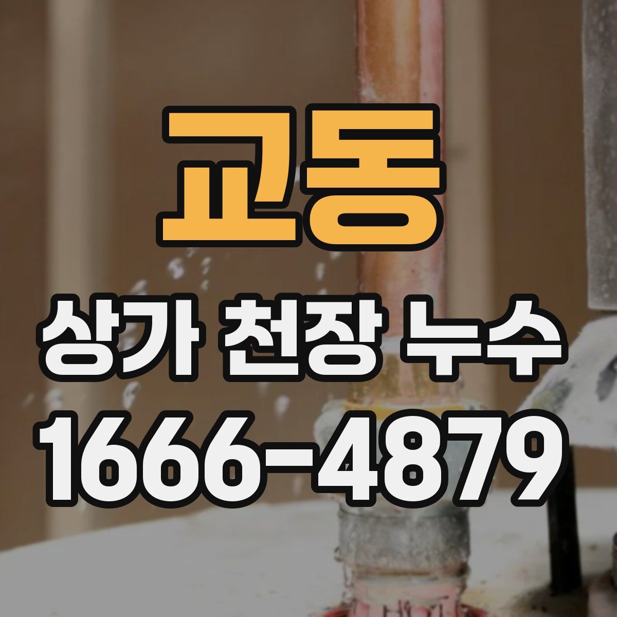 교동 상가 천장 누수