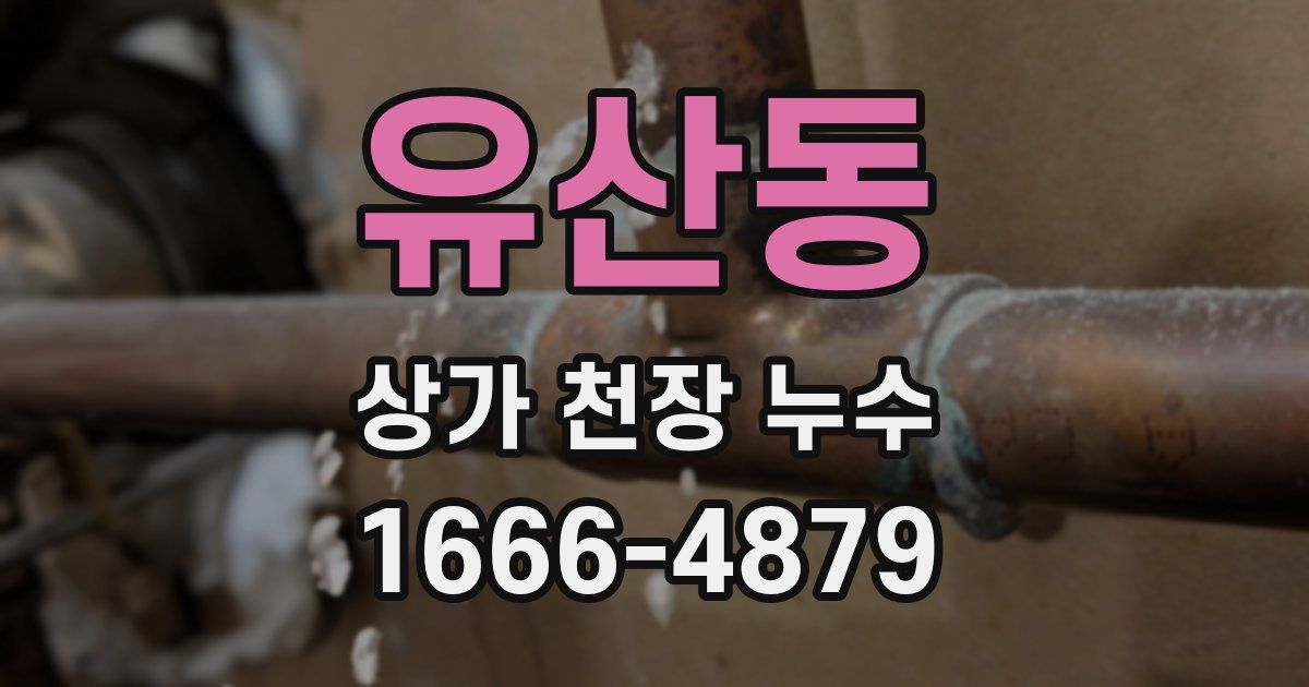유산동 상가 천장 누수