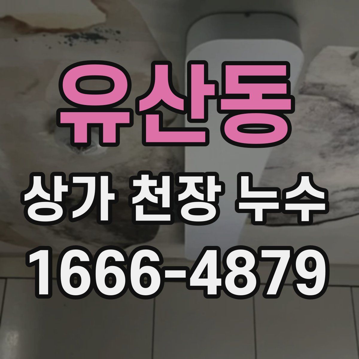 유산동 상가 천장 누수