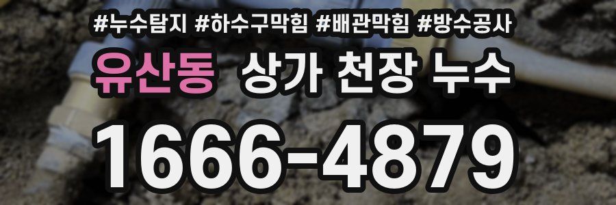유산동 상가 천장 누수