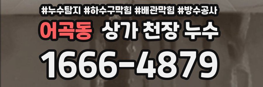 어곡동 상가 천장 누수