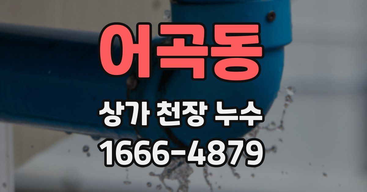 어곡동 상가 천장 누수