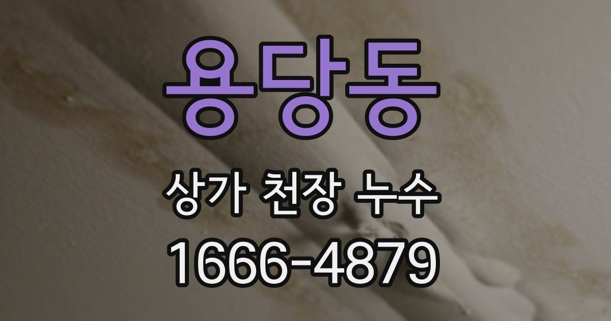 용당동 상가 천장 누수