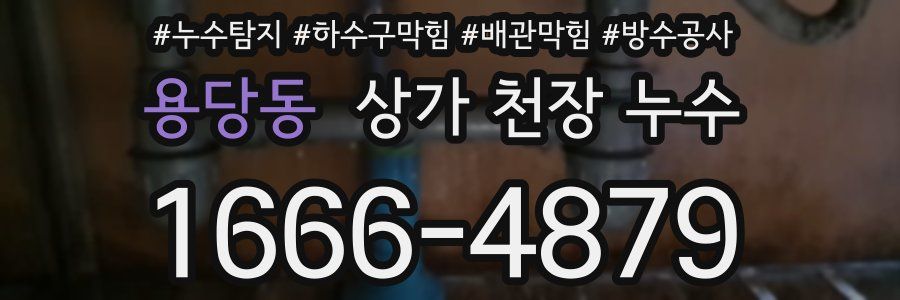 용당동 상가 천장 누수