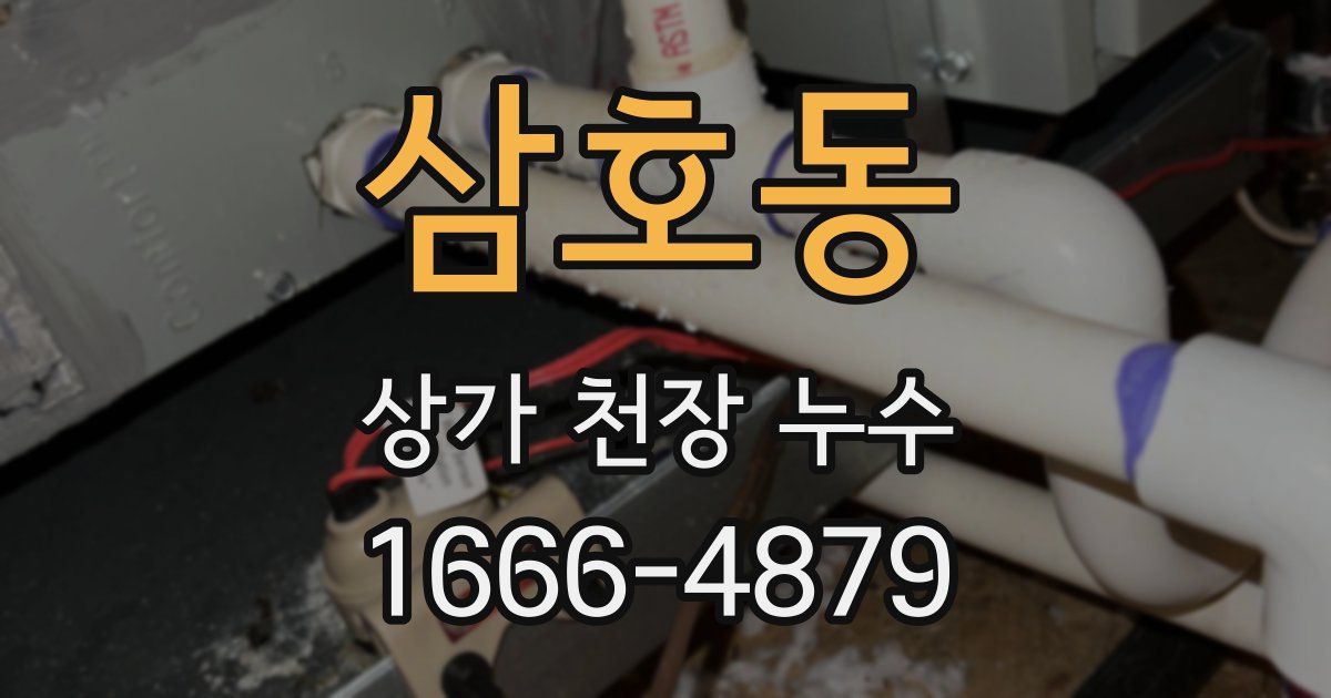 삼호동 상가 천장 누수