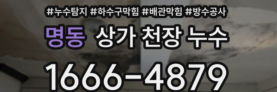 명동 상가 천장 누수