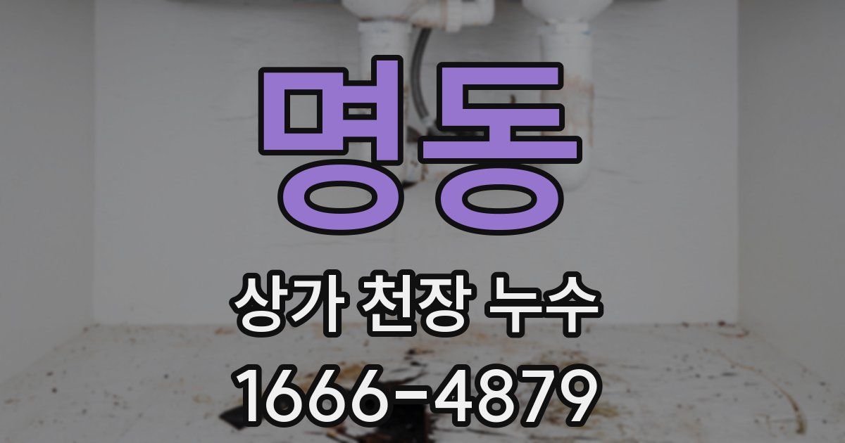 명동 상가 천장 누수
