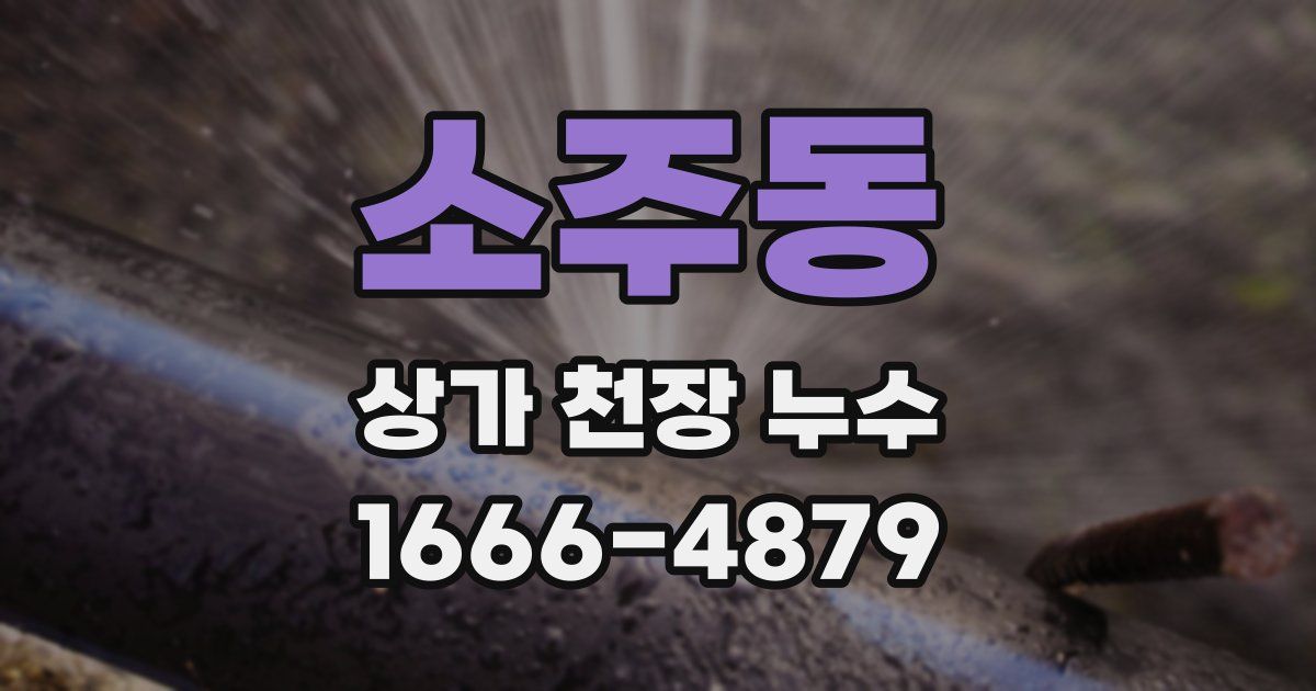 소주동 상가 천장 누수