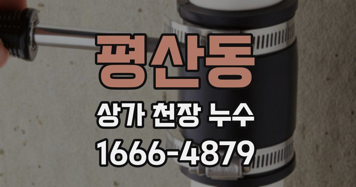 평산동 상가 천장 누수