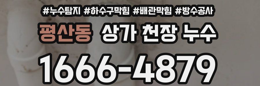 평산동 상가 천장 누수