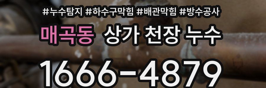 매곡동 상가 천장 누수