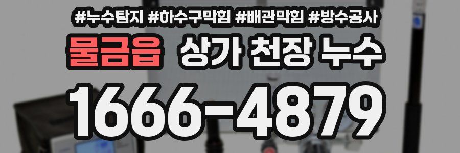물금읍 상가 천장 누수