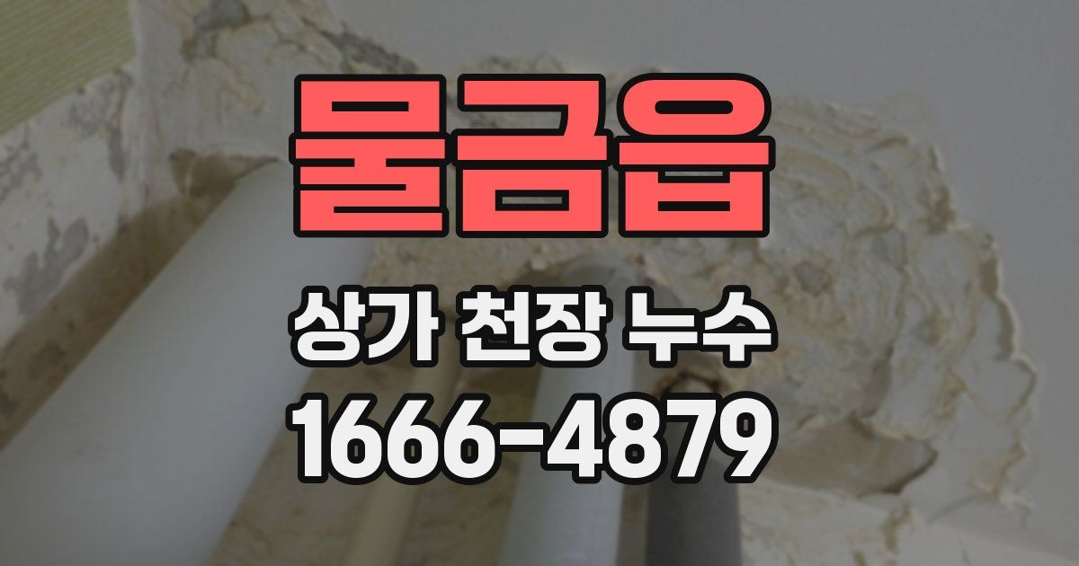 물금읍 상가 천장 누수