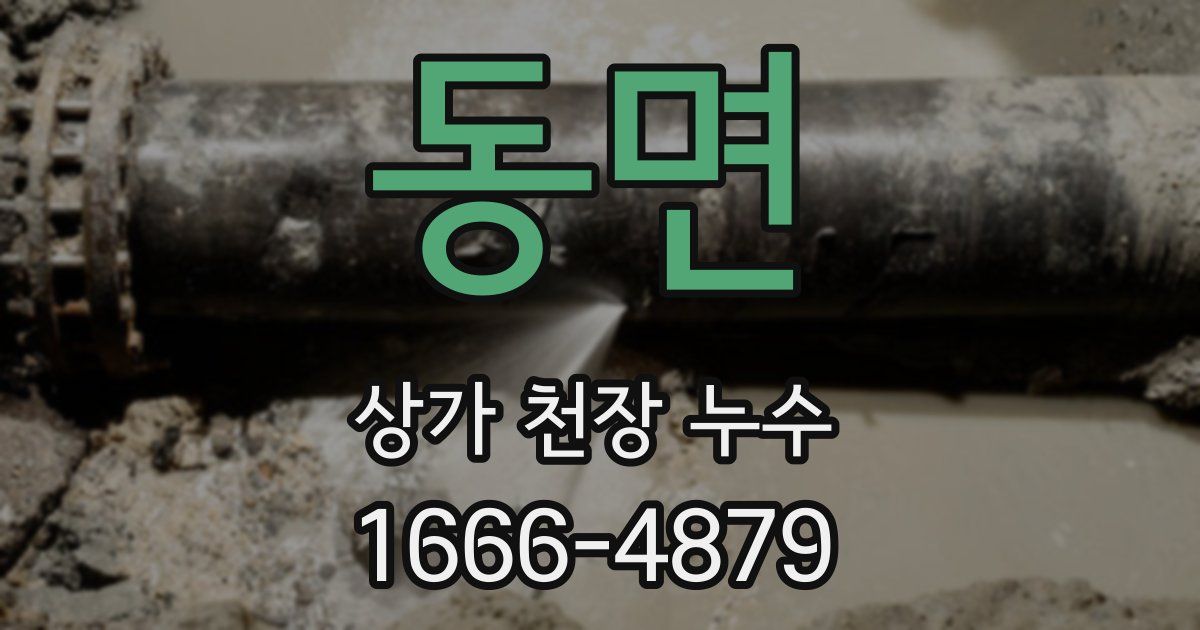 동면 상가 천장 누수