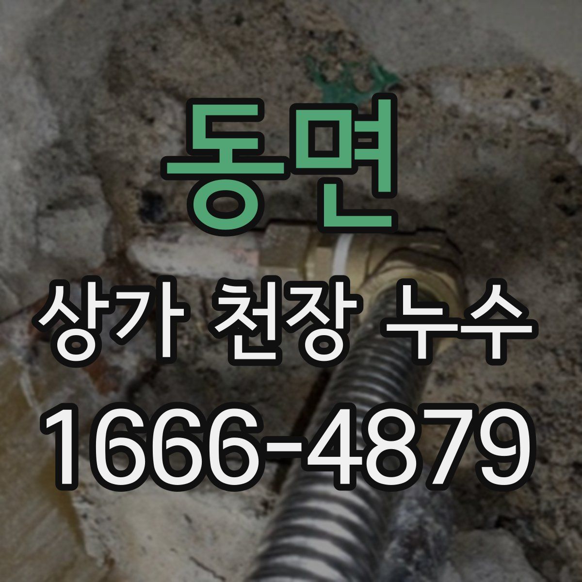 동면 상가 천장 누수