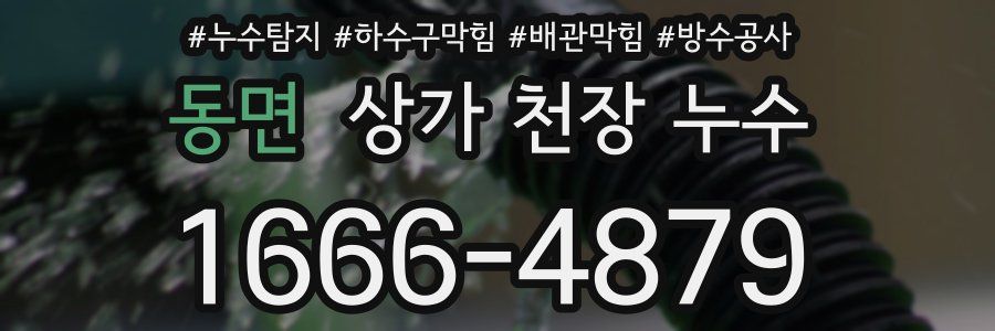 동면 상가 천장 누수