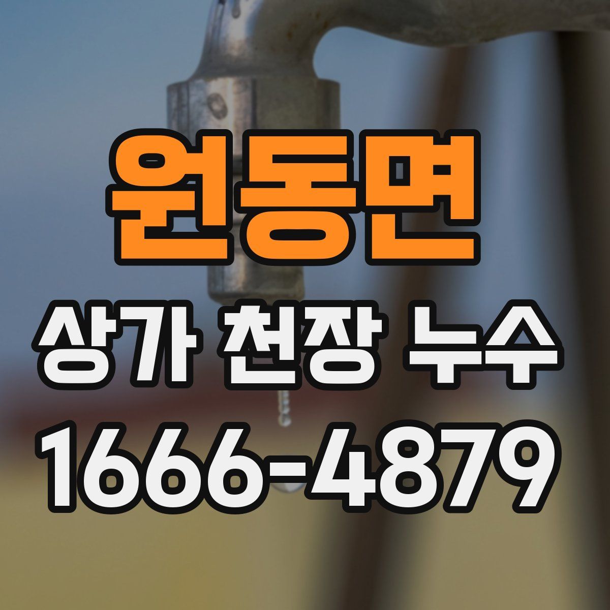 원동면 상가 천장 누수