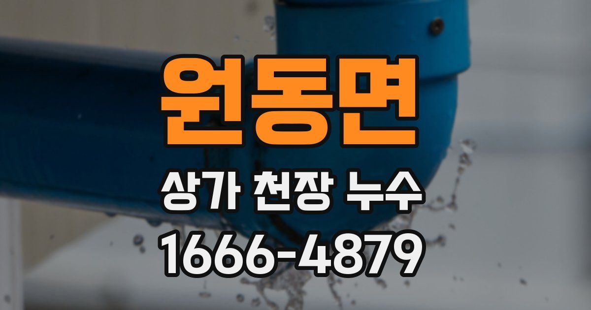 원동면 상가 천장 누수