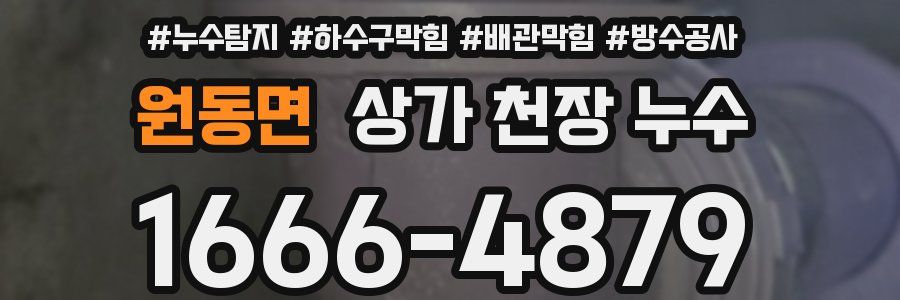 원동면 상가 천장 누수