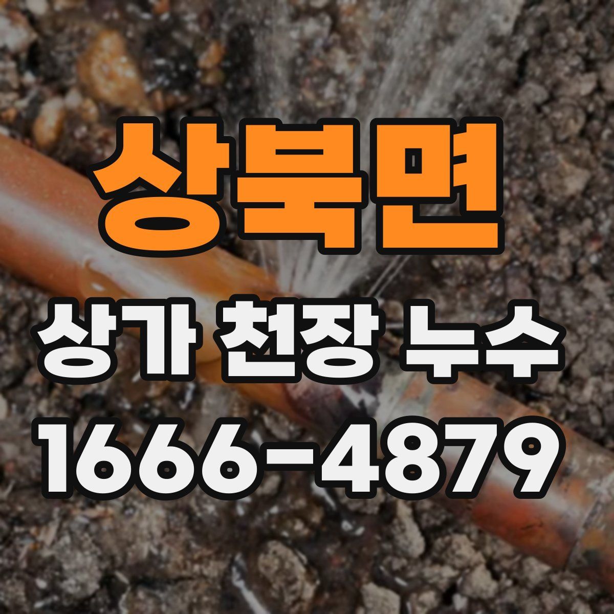 상북면 상가 천장 누수