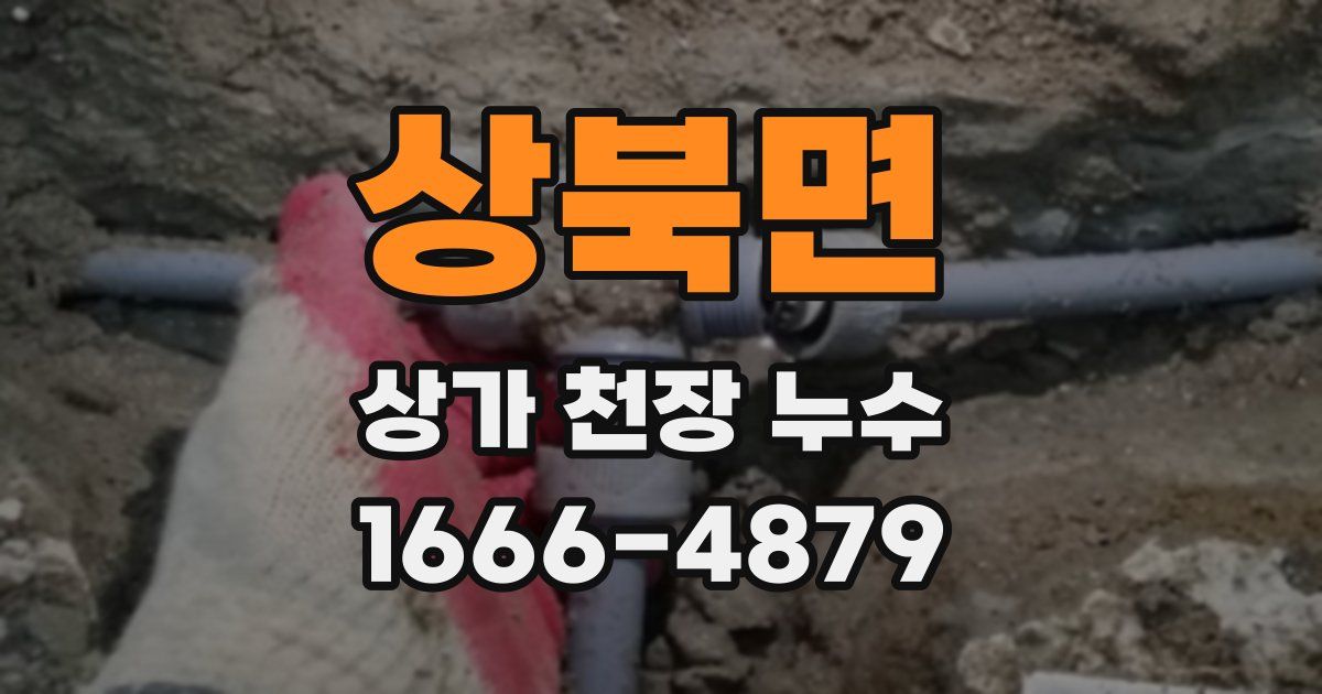 상북면 상가 천장 누수