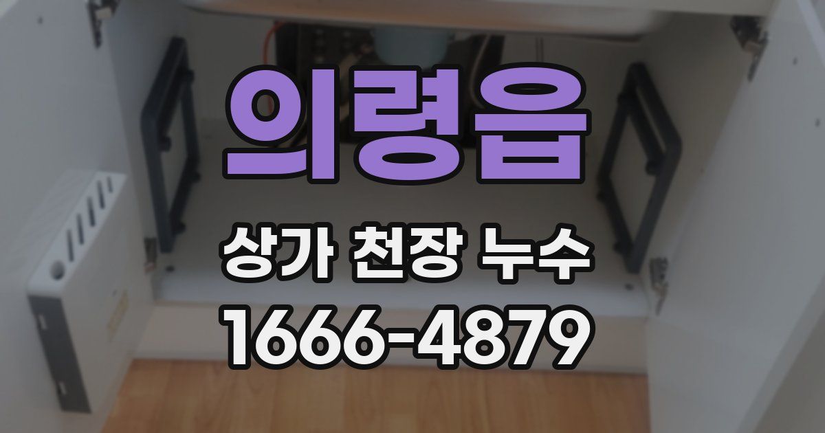 의령읍 상가 천장 누수