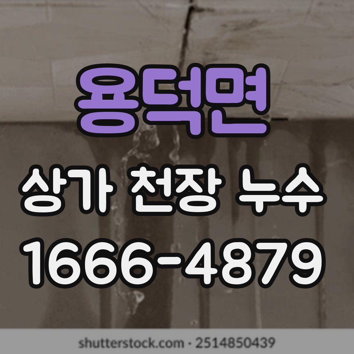 용덕면 상가 천장 누수