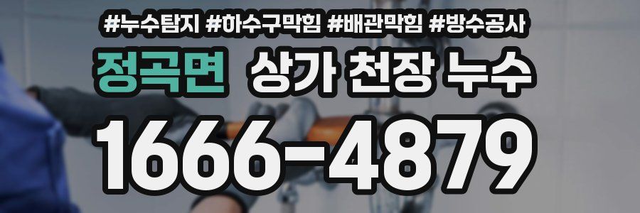 정곡면 상가 천장 누수