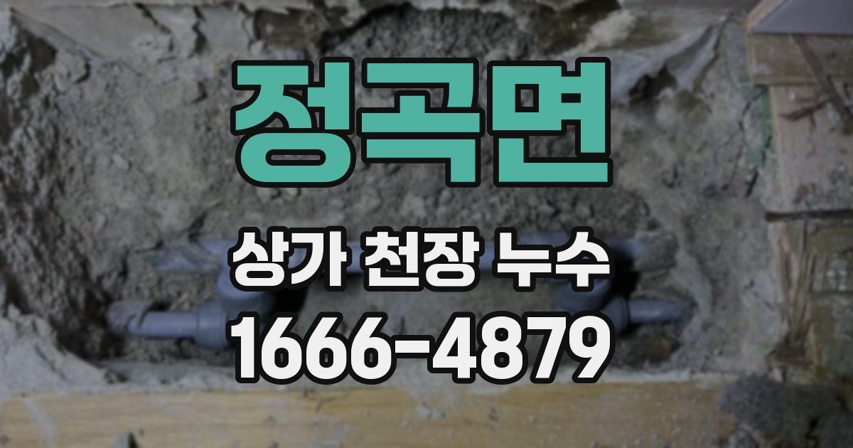 정곡면 상가 천장 누수