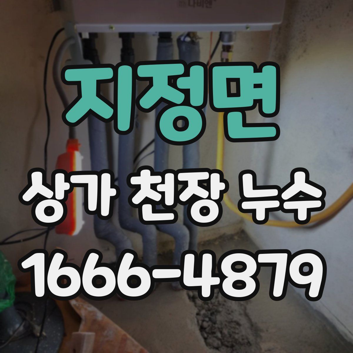 지정면 상가 천장 누수