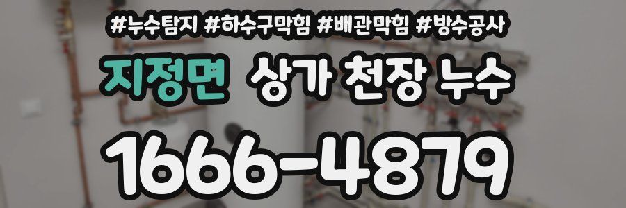 지정면 상가 천장 누수