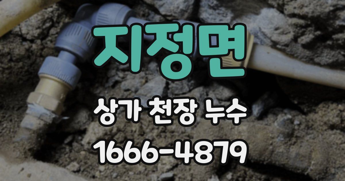 지정면 상가 천장 누수