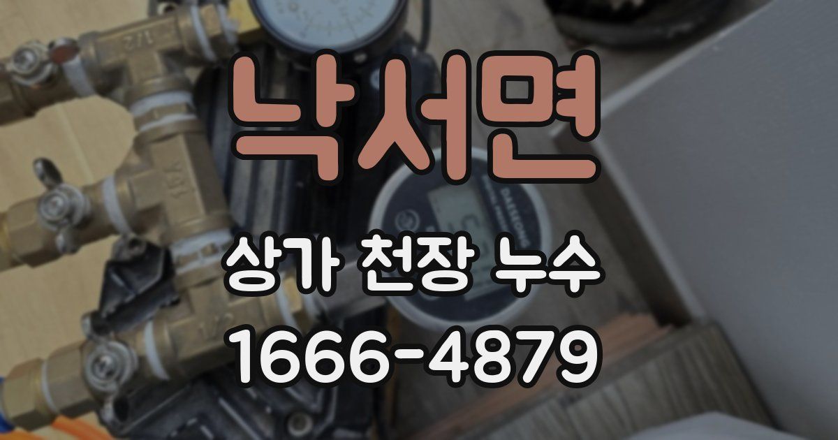 낙서면 상가 천장 누수