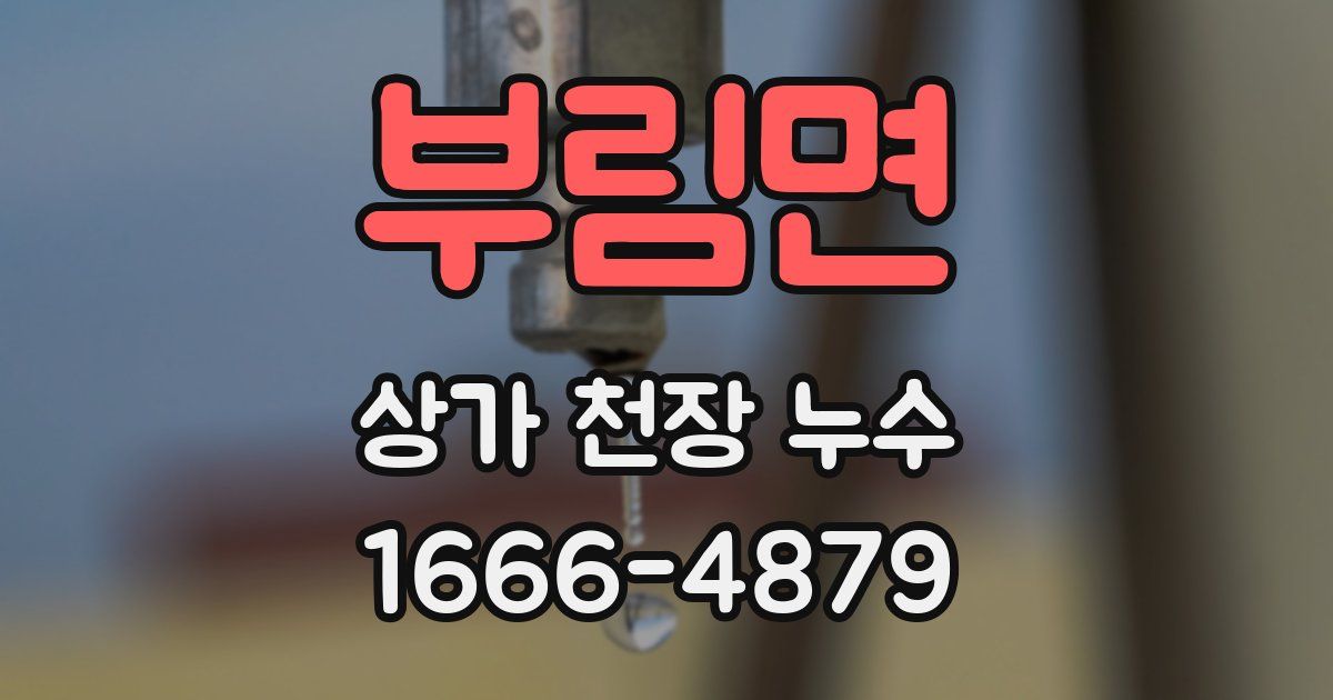 부림면 상가 천장 누수