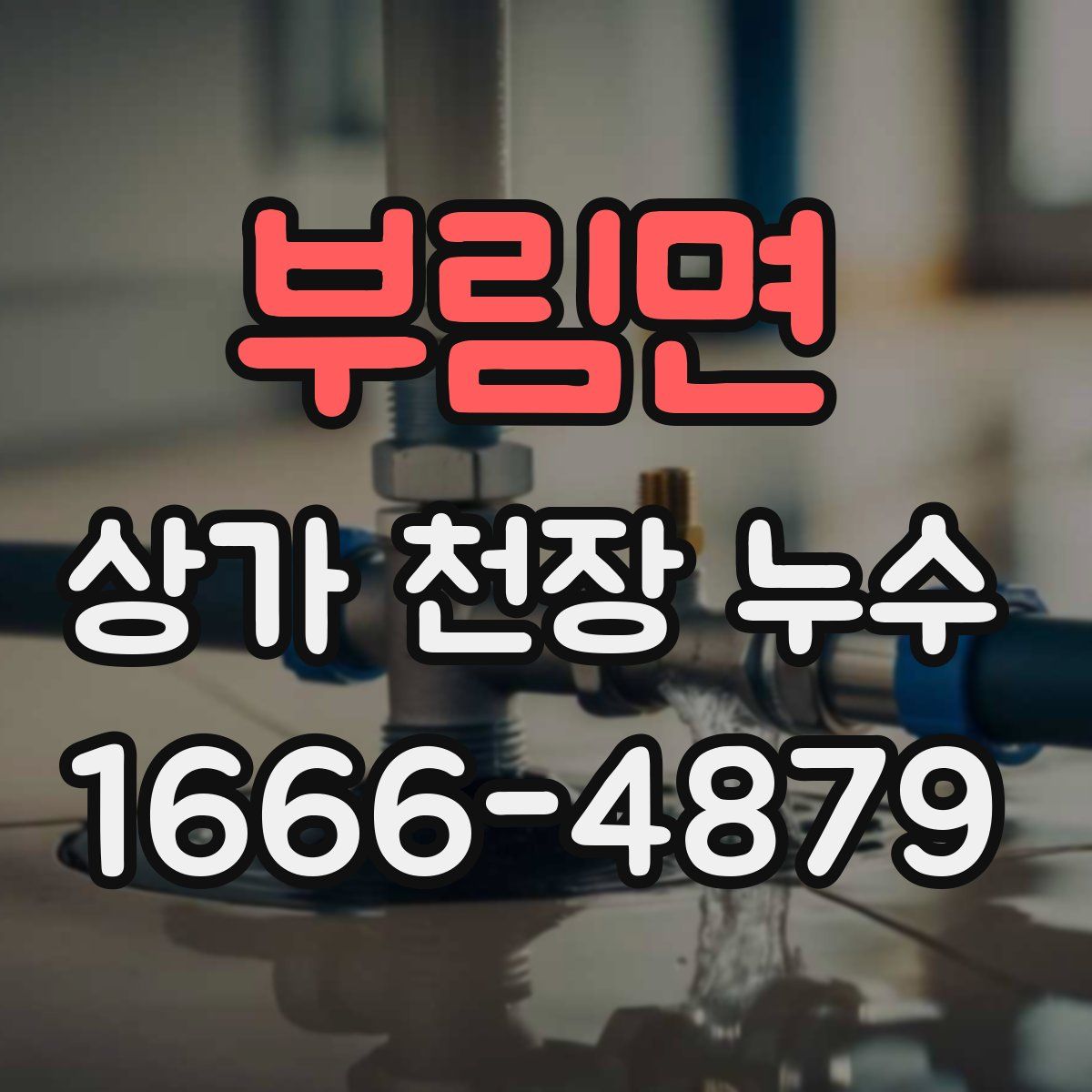 부림면 상가 천장 누수
