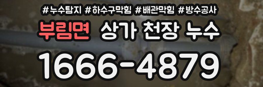 부림면 상가 천장 누수