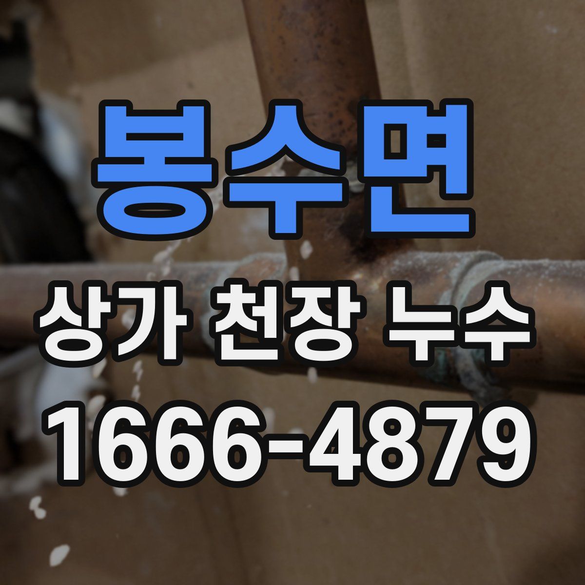 봉수면 상가 천장 누수