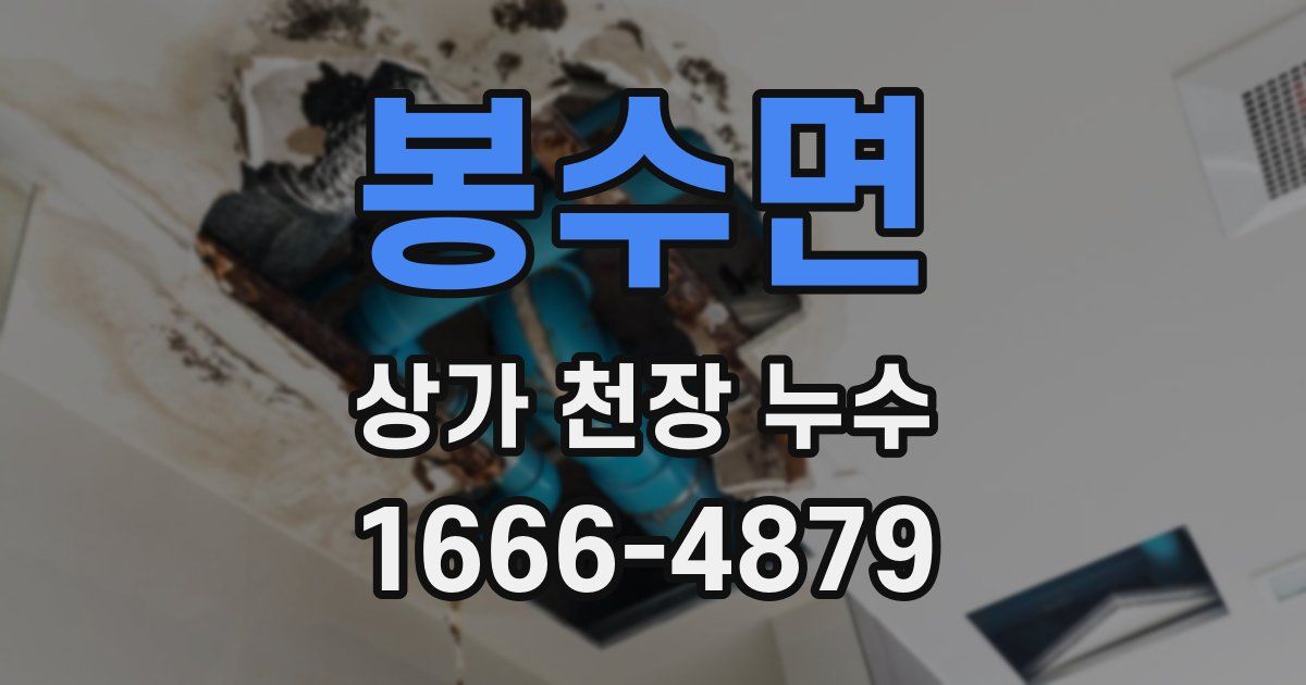 봉수면 상가 천장 누수