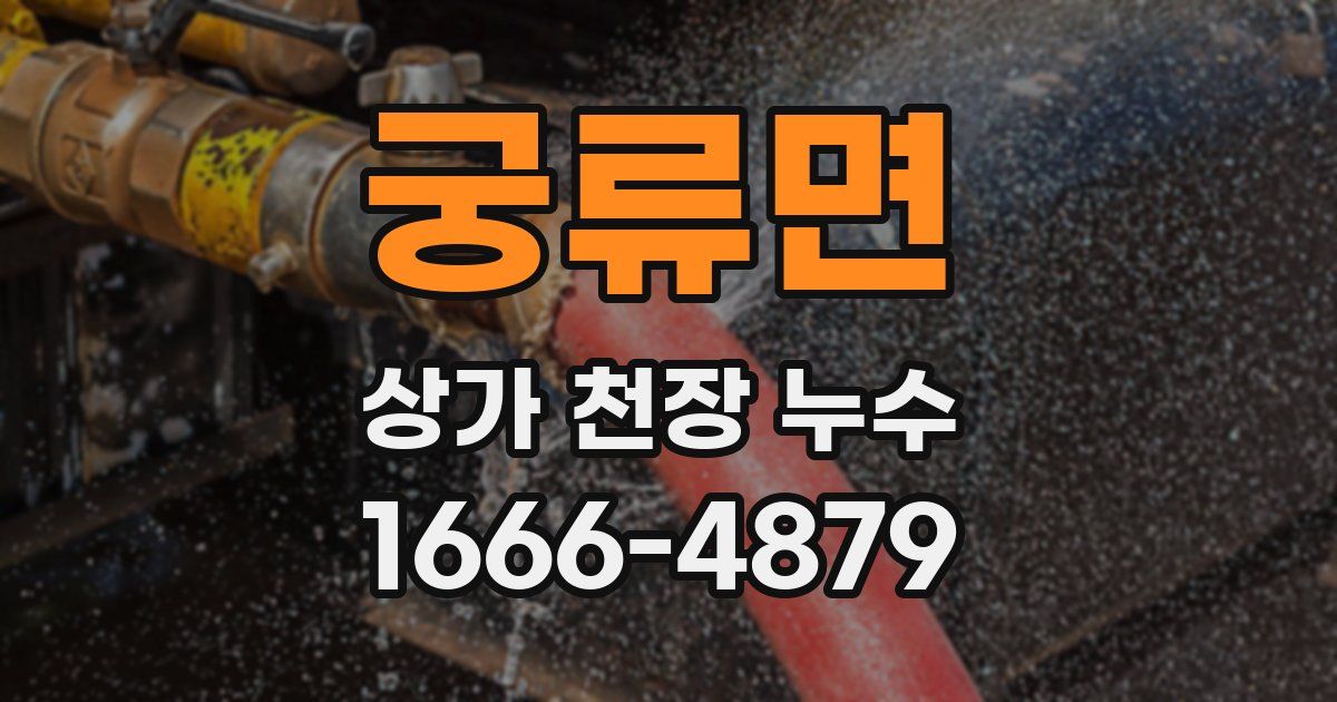 궁류면 상가 천장 누수